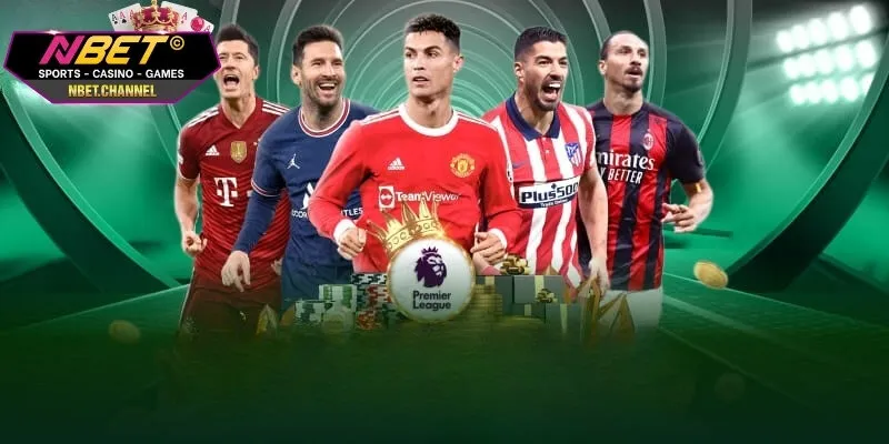 Giới thiệu về cá cược bóng bàn