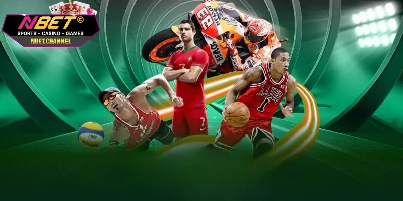 NBET quy định nguyên tắc cược bóng chuyền chuyên nghiệp