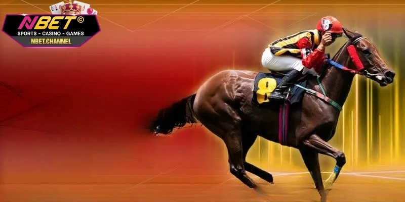 Cá Cược Đua Ngựa - Trải Nghiệm Trường Đua Kịch Tính Nhất 2025