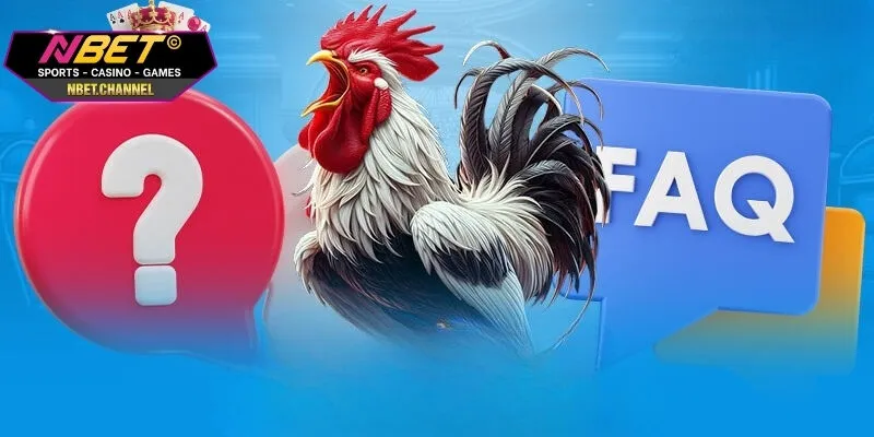 Cách Xem Kèo Đá Gà Thắng Lớn Từ Chuyên Gia