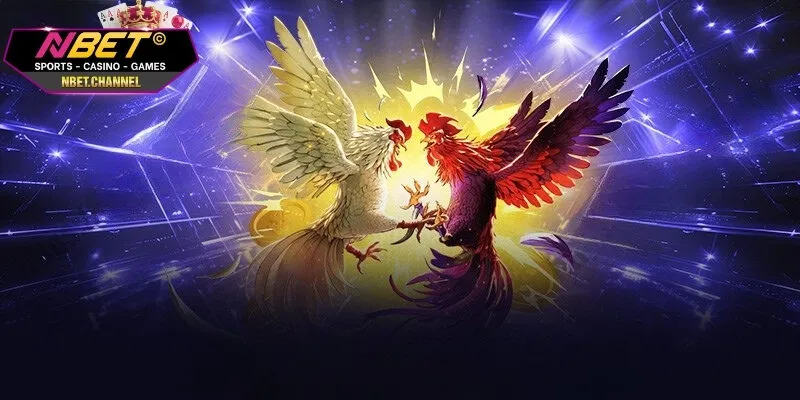 Tìm hiểu cơ bản về loại hình chiến thuật đá gà cựa sắt là gì