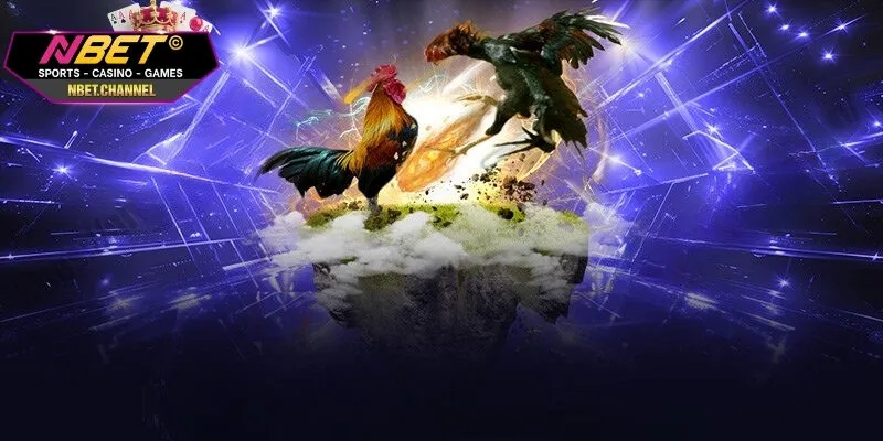 Luật lệ chiến thuật đá gà cựa sắt hoàn chỉnh cho tất cả thành viên