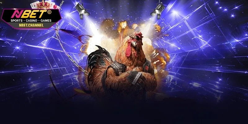 Mẹo đặt cược chọi gà cựa sắt hay nhất từ các cao thủ