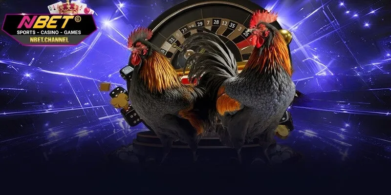 Đôi nét về đá gà Campuchia