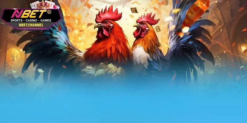 Tổng quan hình thức giải trí đá gà cựa dao