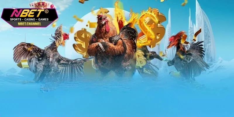 3 cửa cược trong đấu gà cựa dao được người chơi mê mẩn