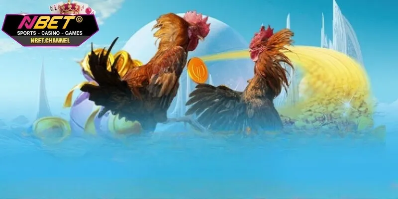 Đá Gà Cựa Sắt NBET - Trận Đấu Kịch Tính Và Đầy Kịch Tính