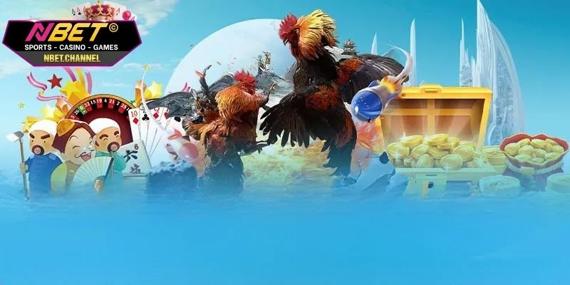 Trải nghiệm chất lượng thi đấu đỉnh cao