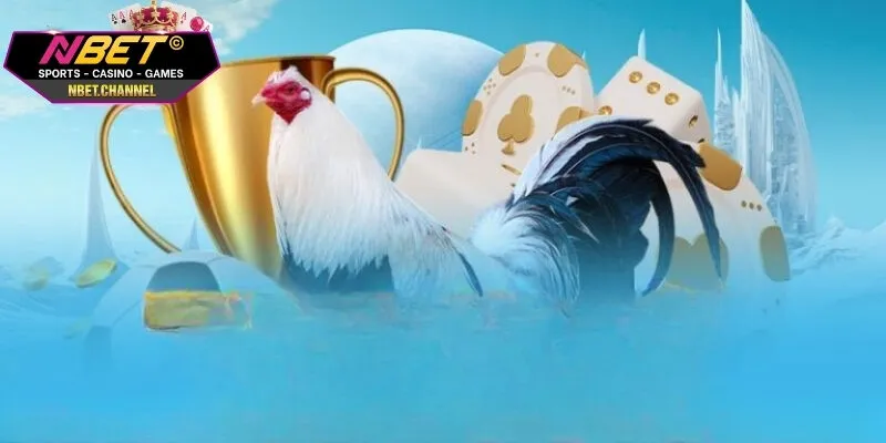 Giải mã khái niệm đá gà cựa sắt