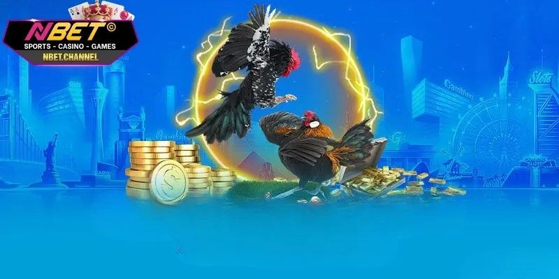 Chia sẻ một số kèo cược đá gà cực hay thu hút nhiều người chơi