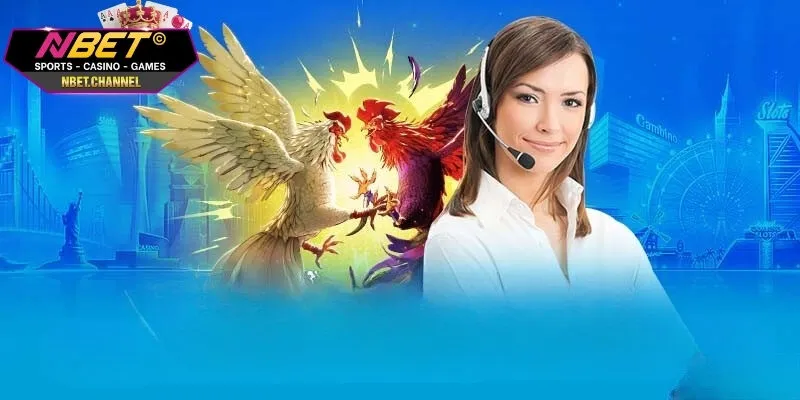 Đá Gà Nòi Chiến Thuật Độc Đáo Và Kỹ Năng Đỉnh cao Tại NBET