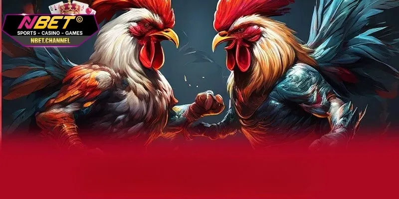 Nắm rõ quy tắc và cách chơi đá gà